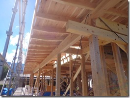 でも美しいのです