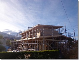 神々しいのです