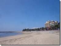 外国人が半分以上でした