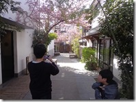 桜の綺麗な時期でした