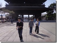 写真をパチリパチリ