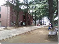 カップルがちらほらいましたよ~