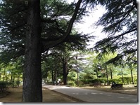 高校時代デートで使わせていただきました