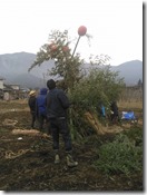 久しぶりにワタクシが登場