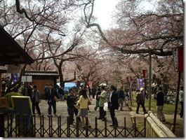 ていうか入場料高くない？