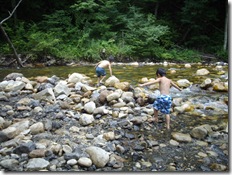 新井探検隊！新井探検隊！