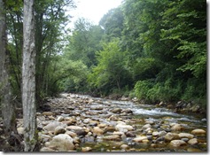 空気に染まれ～みどり～