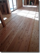 杉でございます