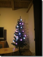 電球はもちろんＬＥＤ