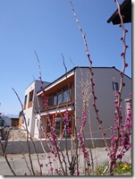 あえて全てを見せないアングル①