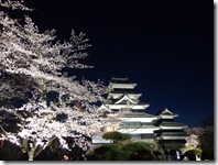 夜桜会　最終日