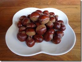 きれいですな～