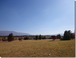 見てください、この景色