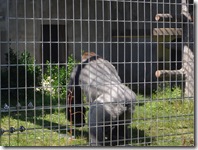 この子はペットボトルのキャップが開けられるのです