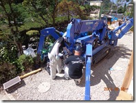 名前はなんと言うのかしら