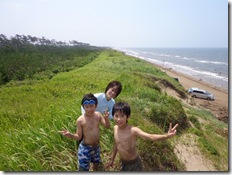 海岸線が見渡せます