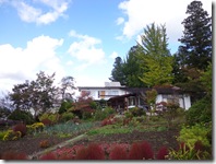 緩やかな勾配のある敷地です