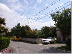 うっそうとした雰囲気から