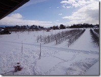 たまった雪の上に