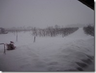 さらに積もる雪たち