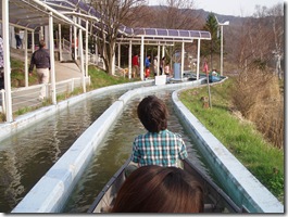 虫の襲撃に遭いながら