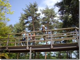 総工費５億円を掛けた木の橋