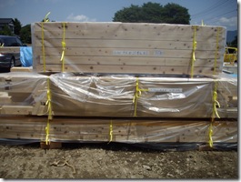 県産材のヒノキ達