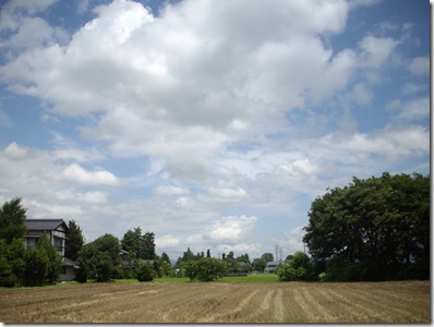 なんか良かったんで なんか良かったんで