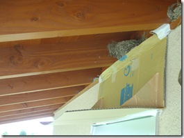 お父さん、これでばっちりだねっ！