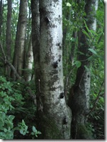 は～、やっと自由になった！