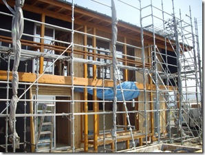 格子が入るとさらに美しいんだろうな～