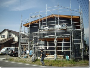 黒いイエもなかなか