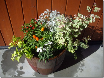 写真の大きさＭＡＸ！