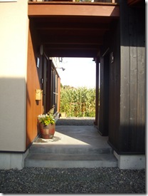 道路からはこんな感じ