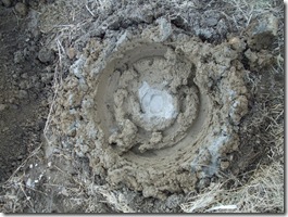 ミステリーサークル？