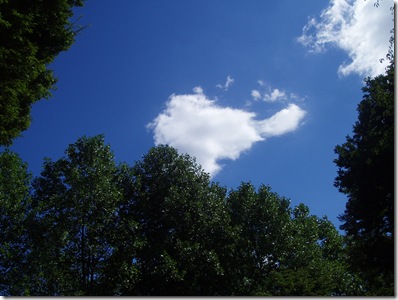 昼御飯はお隣の文化公園で