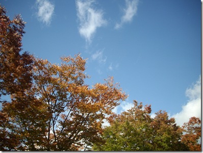 空が高く感じませんか？