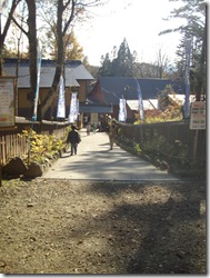 可愛いくのいちはいるかな～