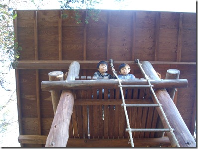 塔の上ではいチーズ