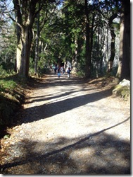 まだまだ１／３