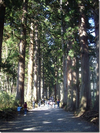 そうだ！戸隠に行こう！