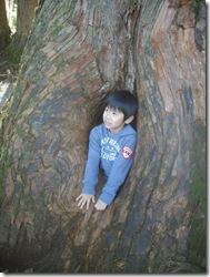 今助けるからなー