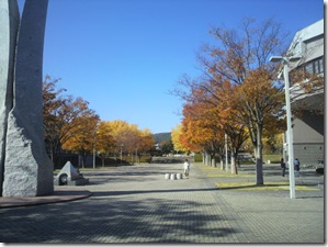 いいですね～紅葉が