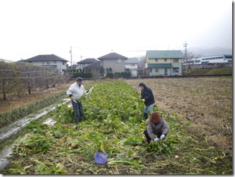 こんな明るいうちからそんなことするなんて・・・