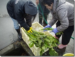 私もこの後洗いましたので