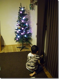 ちなみにもう一つツリーがあります