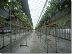 下から見るとこんな世界