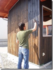 色の違い、わかるかな？