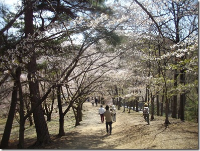 舞い～降りてお～ちて～