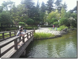 まぁ～、人懐っこいハトだこと